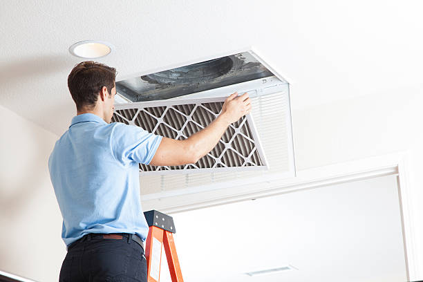 Best Air Filters and Purifiers in Las Vegas, NM